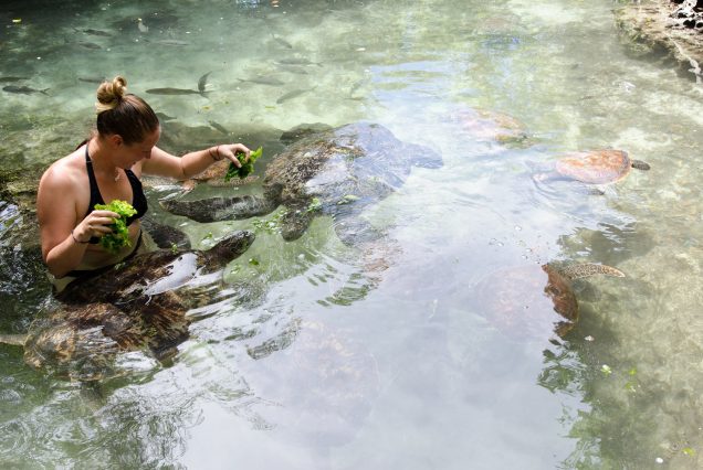 zanzibar baraka aqurium
